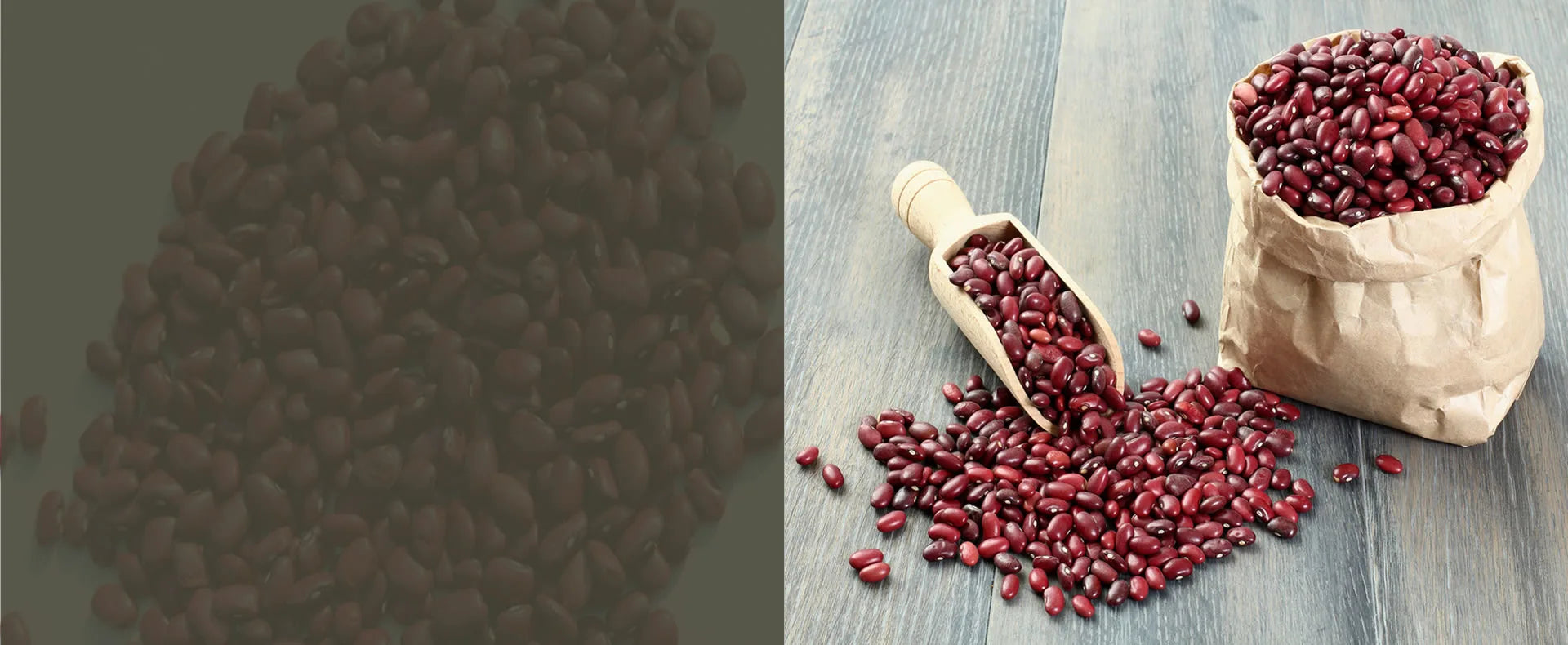 Bursting With Authentic Himalayan Flavor