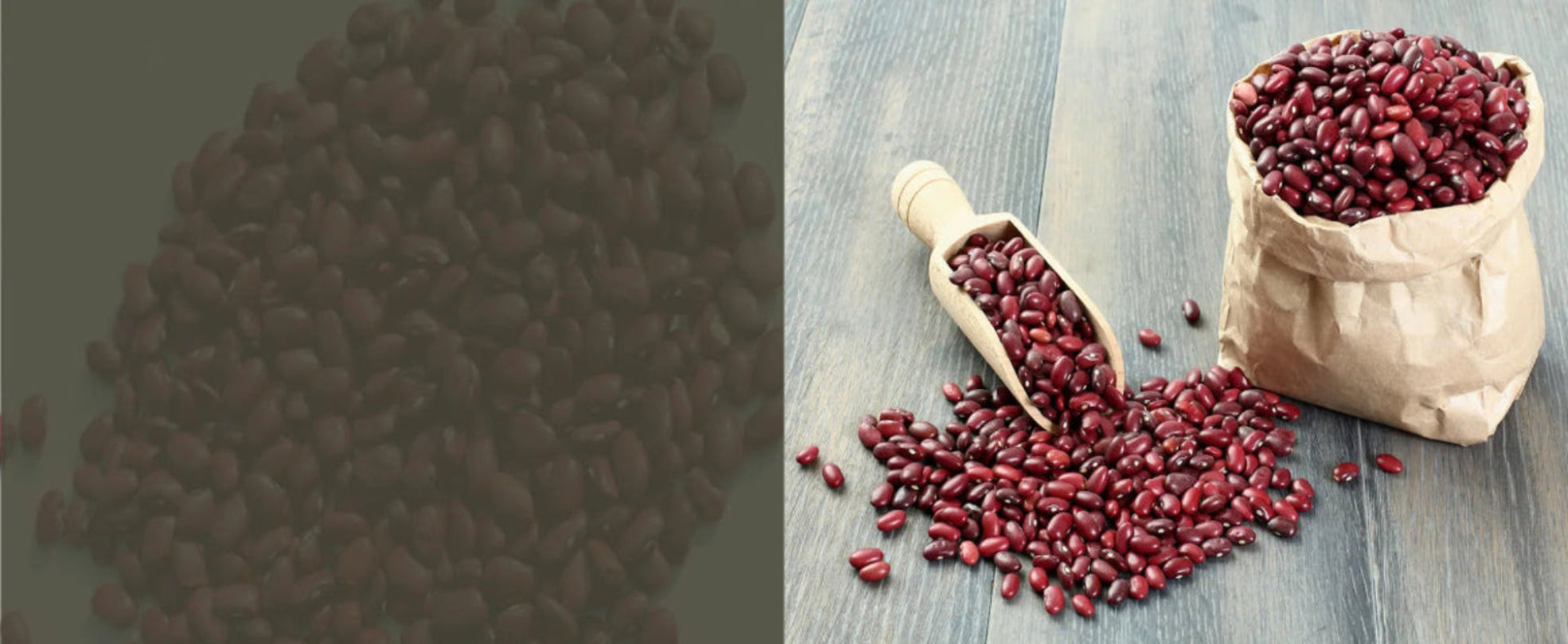 Bursting With Authentic Himalayan Flavor