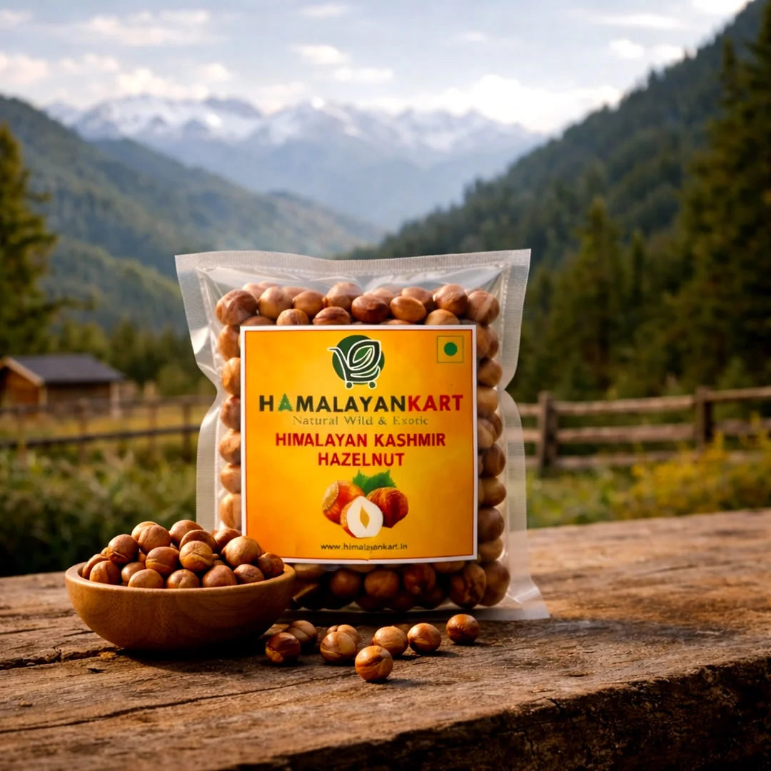 Himalayan Kashmir Hazelnut
