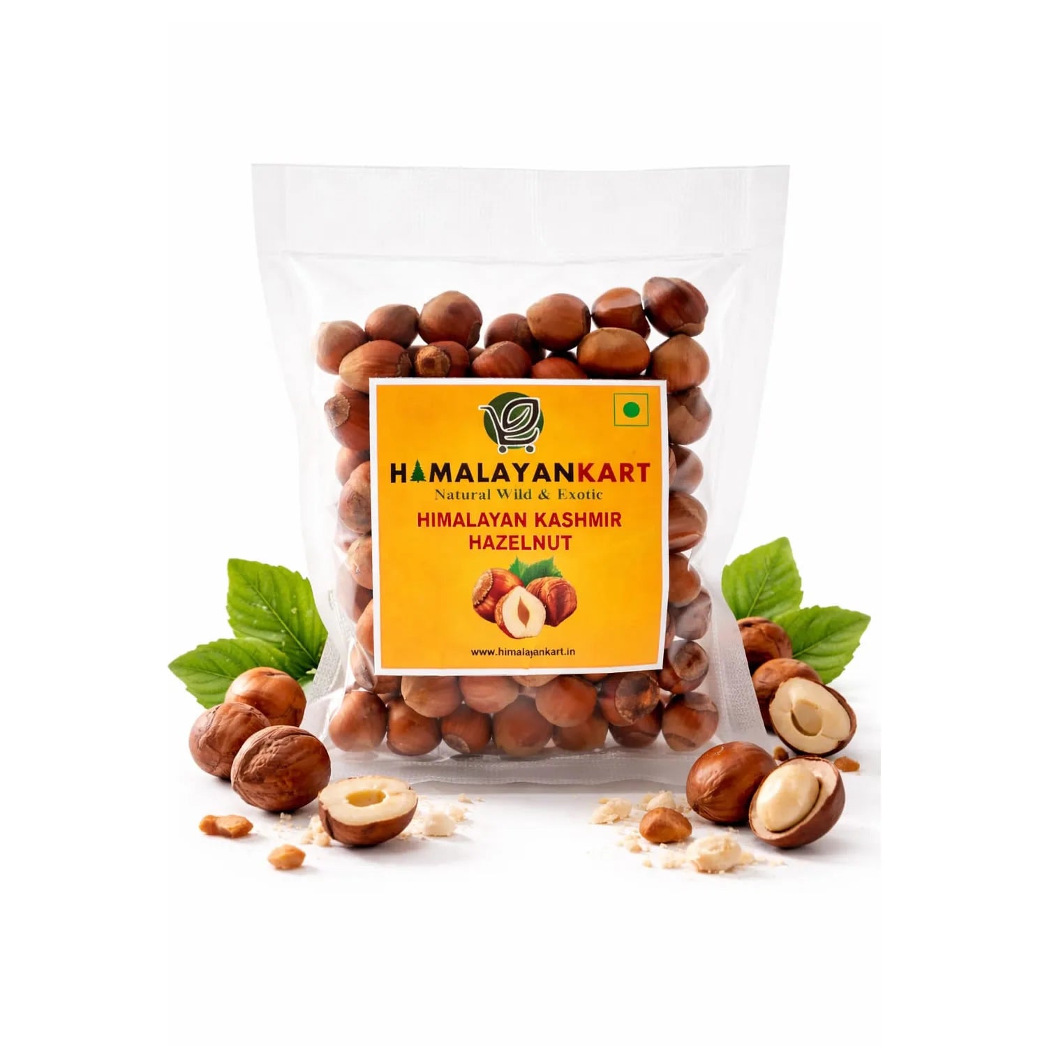 Himalayan Kashmir Hazelnut