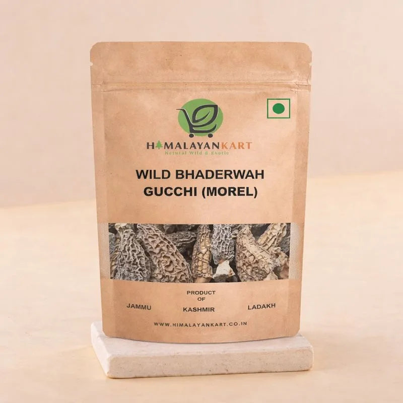 Himalayankart Wild Bhaderwahi Morel Mushrooms Gucchi 25g