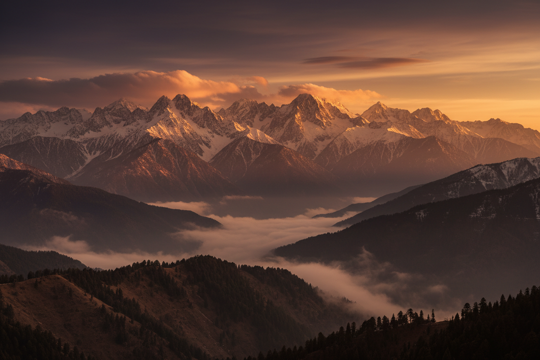 Himalayan Gucchi Mushrooms: Why They Are the World’s Most Expensive Mu ...