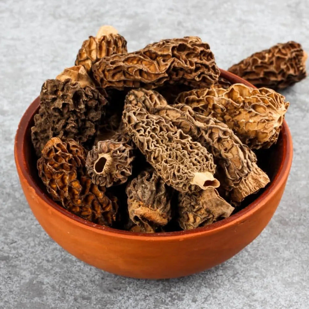 Himalayankart Wild Bhaderwahi Morel Mushrooms Gucchi 25g