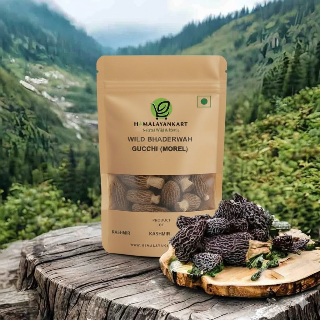 Himalayankart Wild Bhaderwahi Morel Mushrooms Gucchi 25g