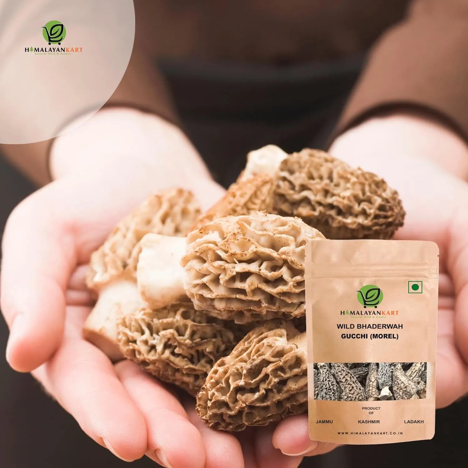Himalayankart Wild Bhaderwahi Morel Mushrooms Gucchi 25g