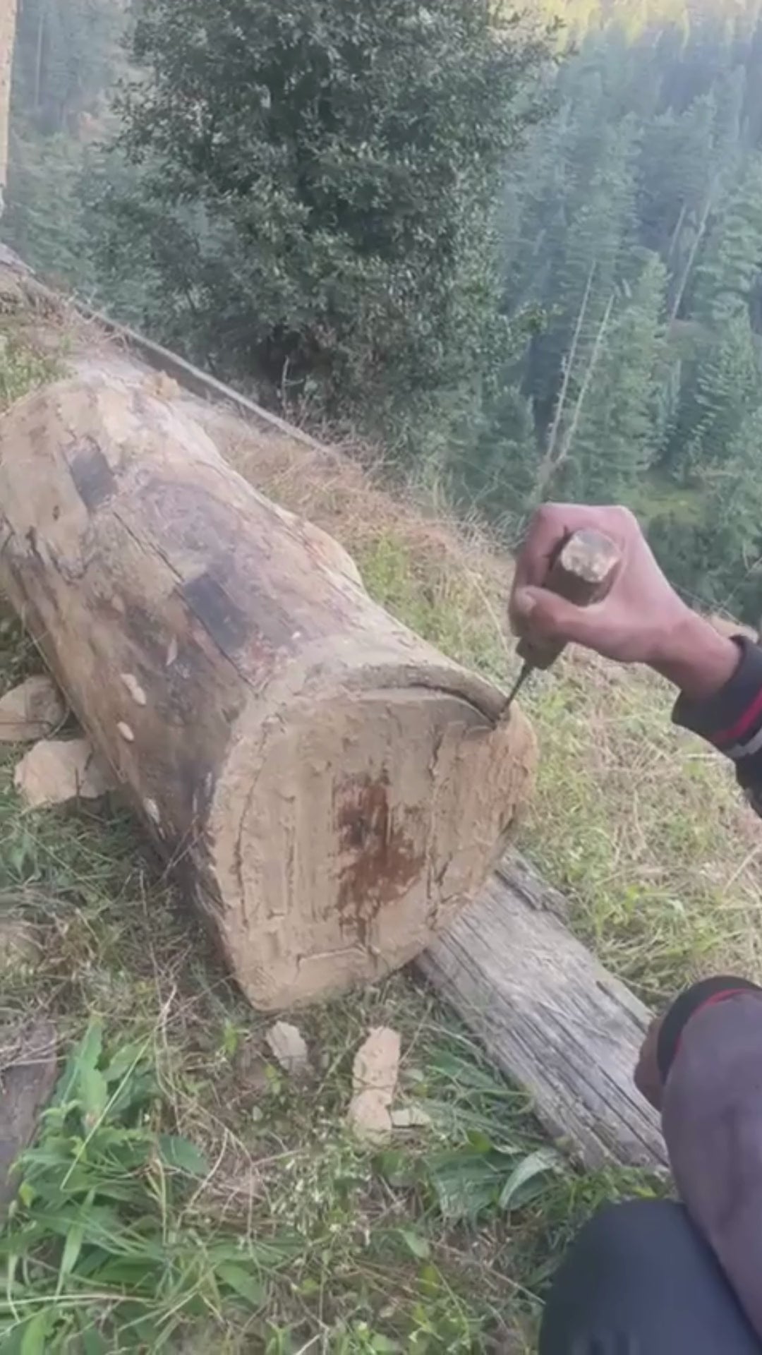Himalayankart Wild Bhaderwah Honey