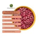 Himalayankart Premium Bhaderwahi Rajma