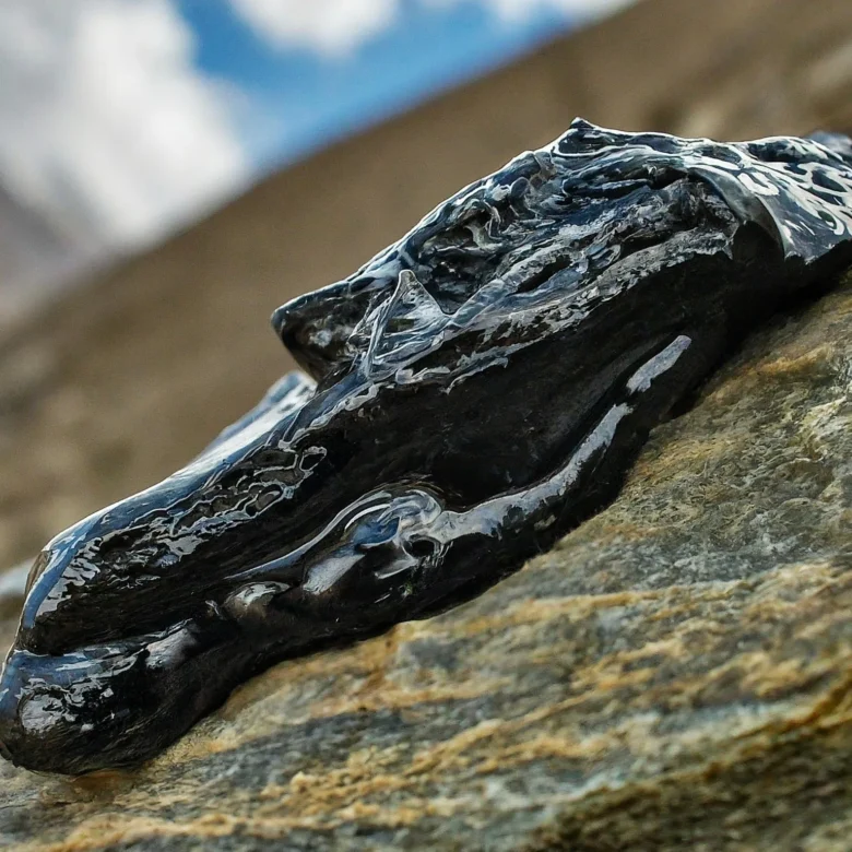 Himalayan Pure Shilajit - Image 8